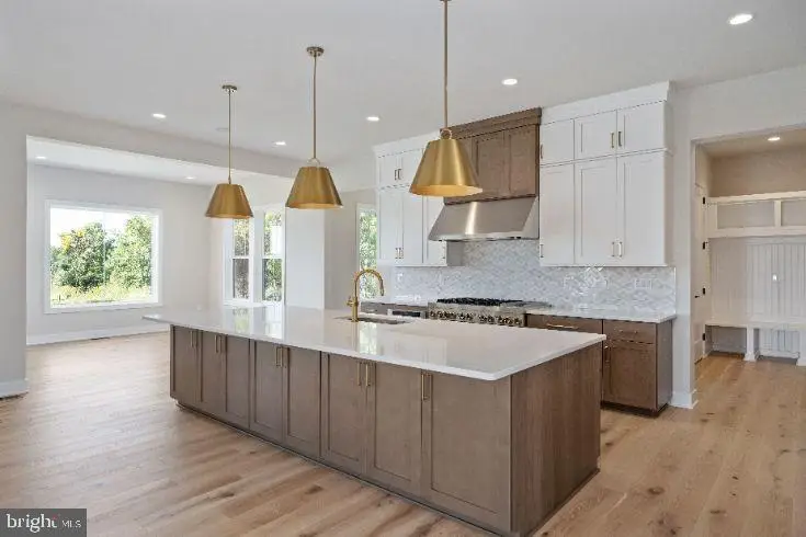 41545 Blarney Stone Pl, Ashburn, VA 20148 - #2