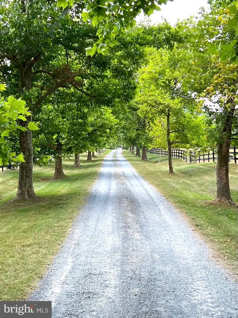 20202 St Louis Rd, Purcellville, VA 20132 - #1