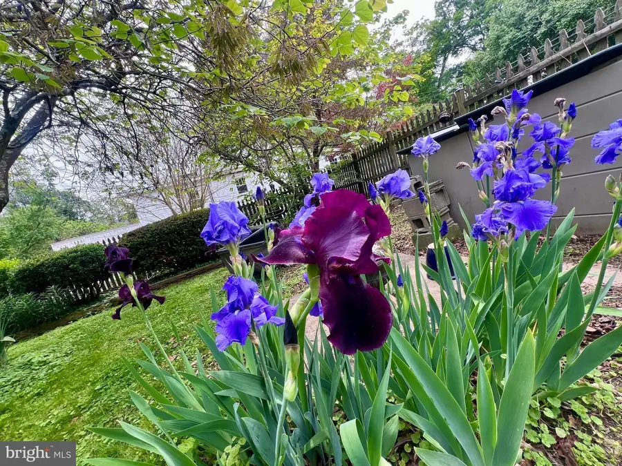 310 S 20th St, Purcellville, VA 20132 - #2