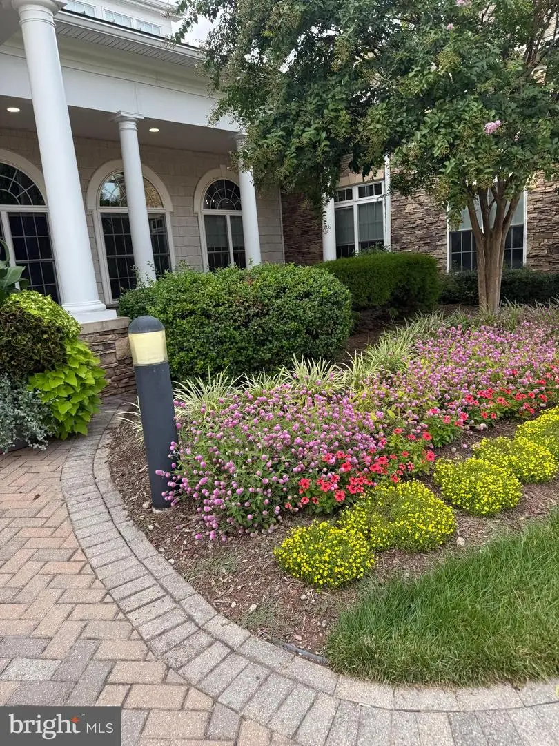 44382 Cedar Heights Dr, Ashburn, VA 20147 - #3