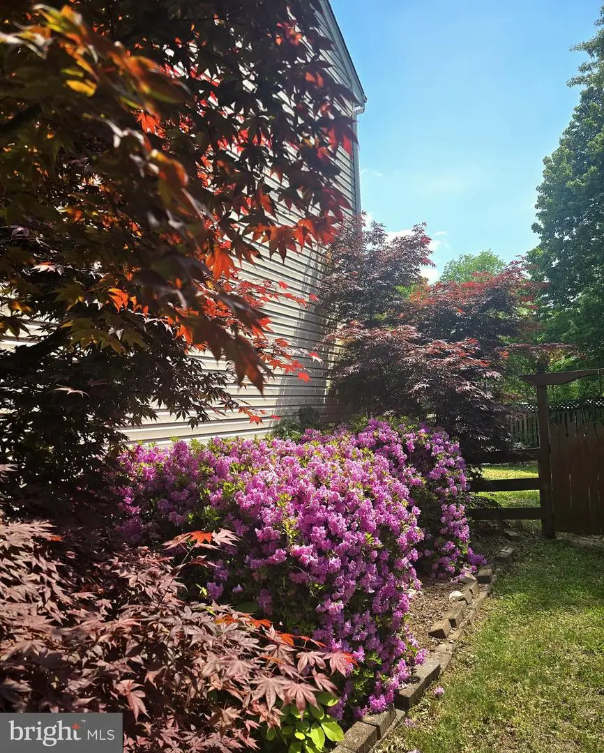 46495 Primula Ct, Sterling, VA 20165 - #3