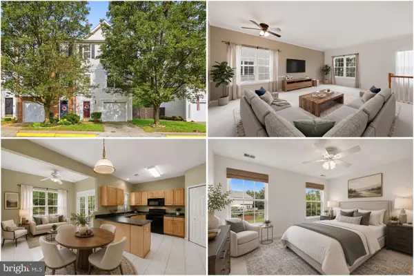 251 Golden Larch Ter Ne, LEESBURG, VA 20176