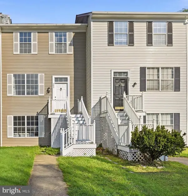 503 Radford Ter Ne, LEESBURG, VA 20176