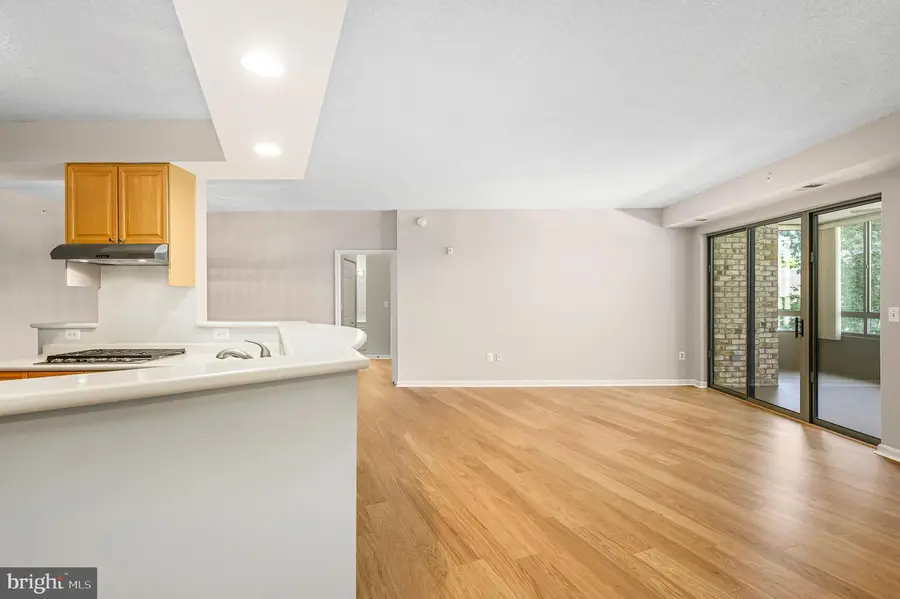 19370 Magnolia Grove #107, Leesburg, VA 20176 - #3