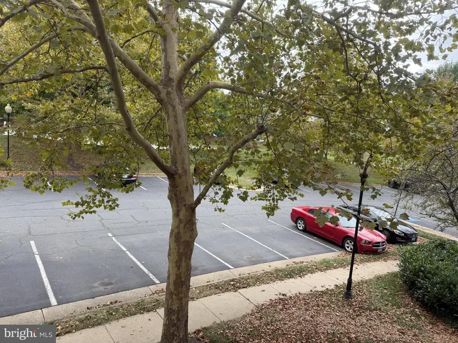 20332 Beechwood Ter #201, Ashburn, VA 20147 - #3