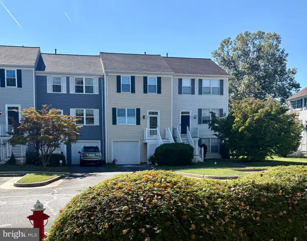 523 Radford Ter Ne, LEESBURG, VA 20176