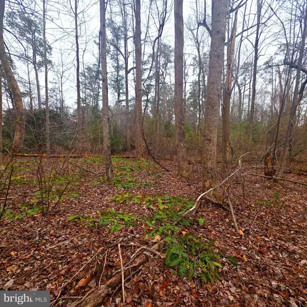 W Highview Dr Lot 134, LANCASTER, VA 22503