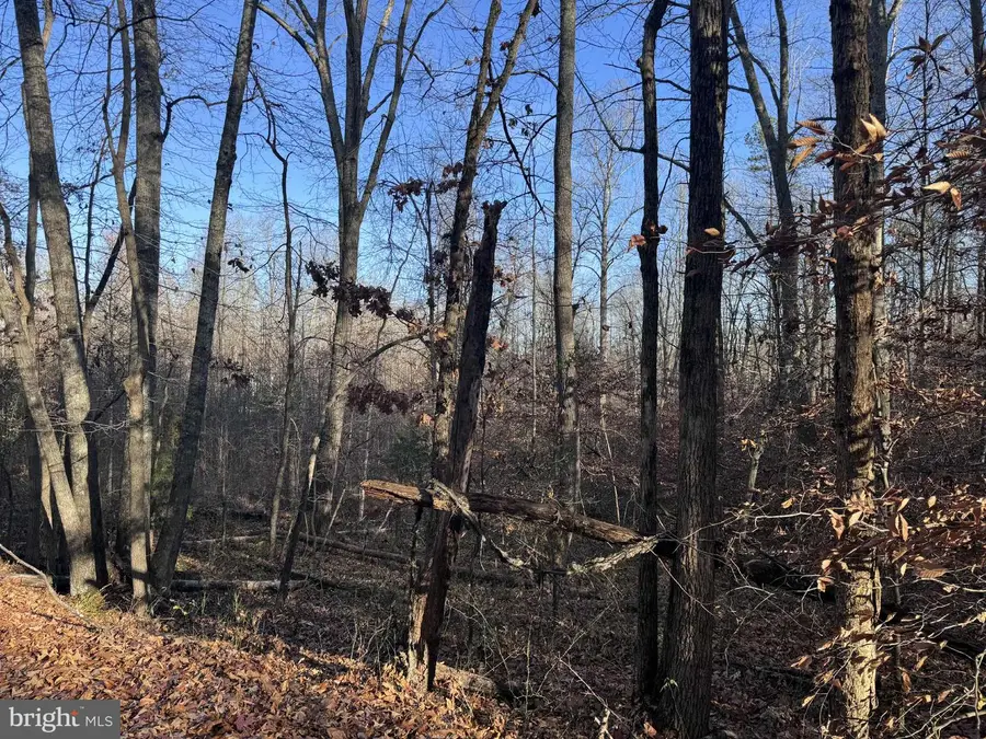 0 Buggy Ln, Rochelle, VA 22738 - Image #2