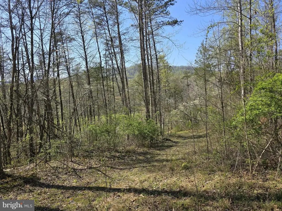 Lot 1 S Ft Valley Rd, Madison, VA 22727 - #1