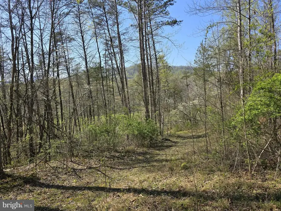 Lot 1 S Ft Valley Rd, Madison, VA 22727 - #3