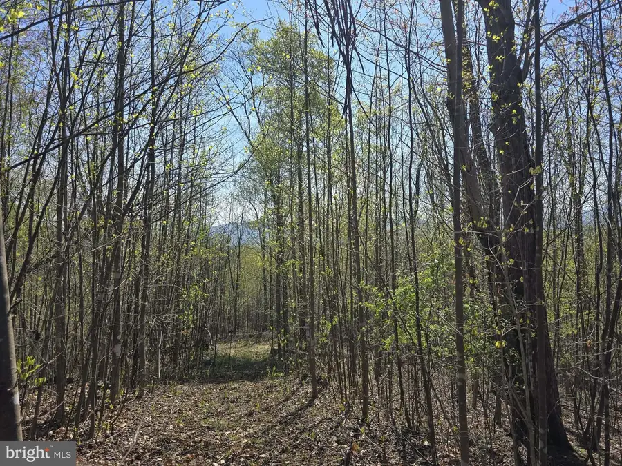 Lot 2 S Ft Valley Rd, Madison, VA 22727 - #2