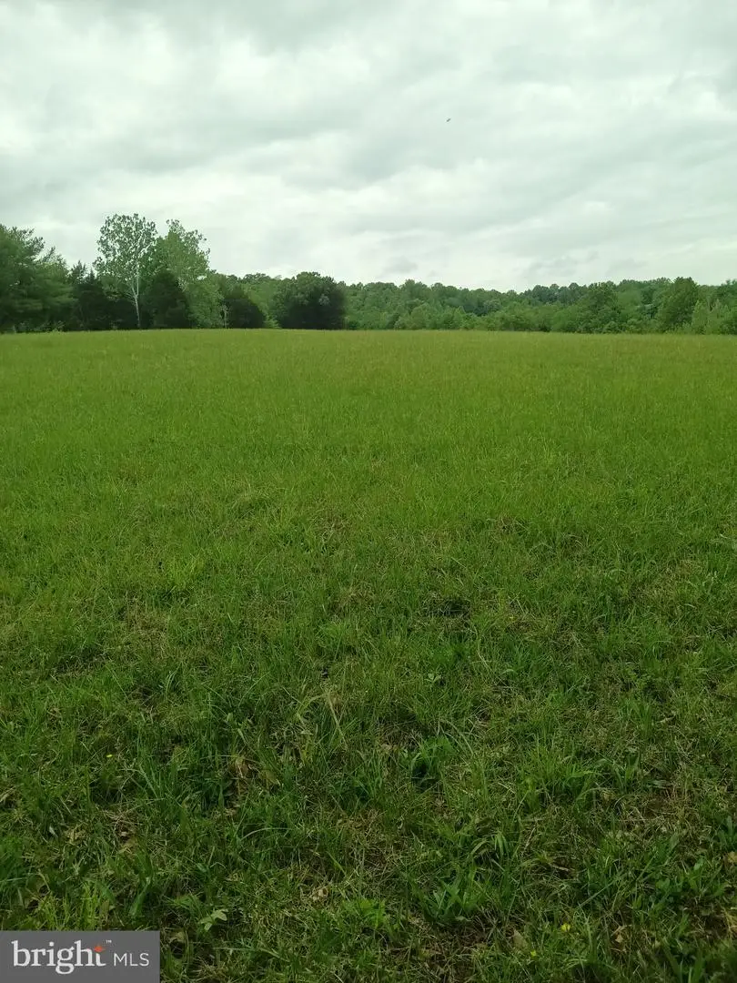 0 John Tucker, Madison, VA 22727 - #2