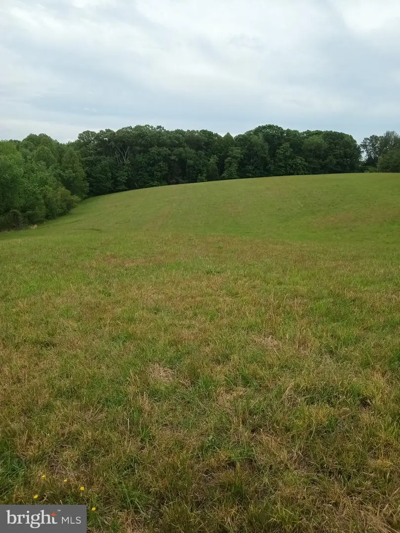 0 Goods Ln, Madison, VA 22727 - #1