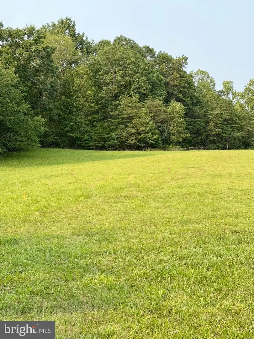 64 56a S Blueridge Turnpike, Madison, VA 22727 - #3