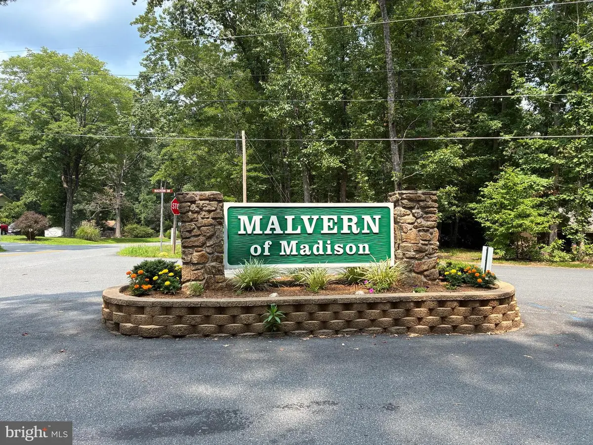 60 Bee Gum Way, Madison, VA 22727 - #1