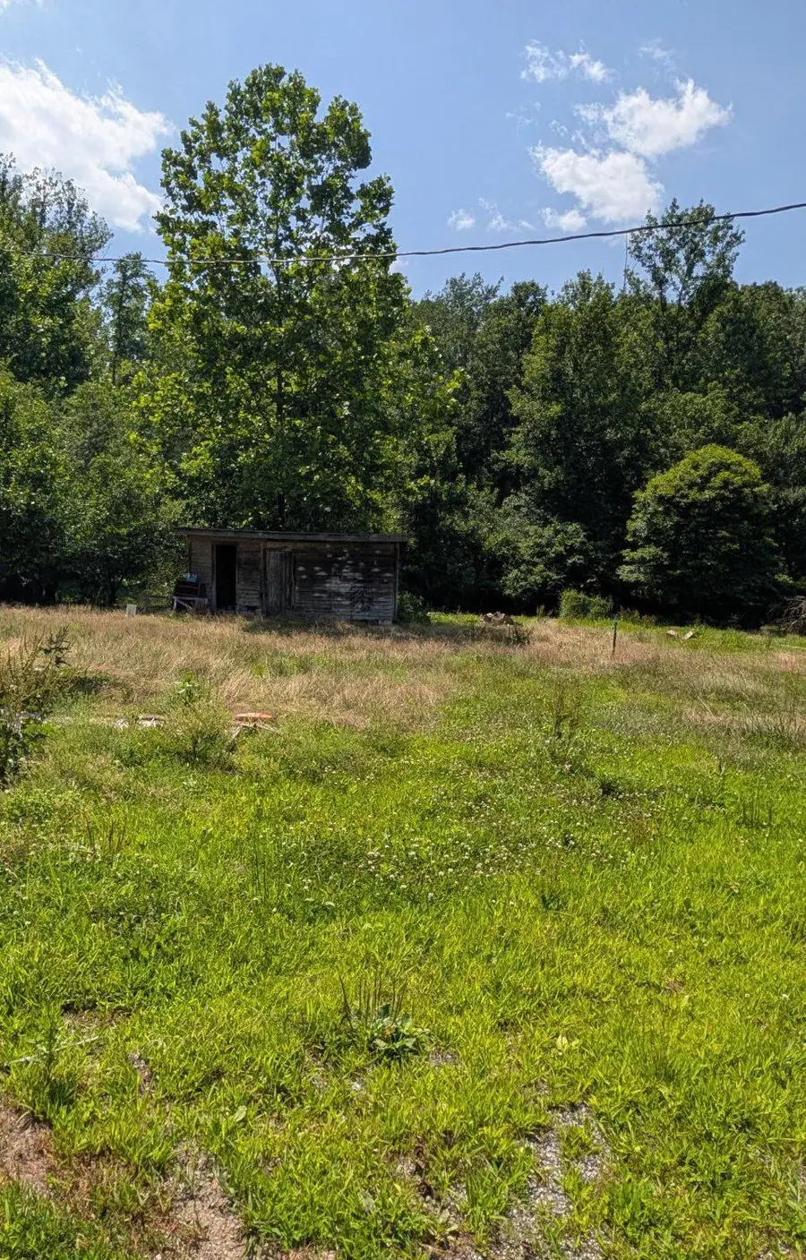 1165 S F T Valley Rd, Madison, VA 22727 - #2