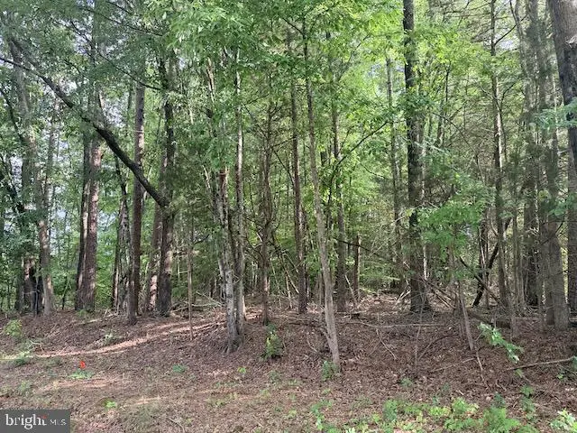 Skipwith Rd, Boydton, VA 23917 - #2