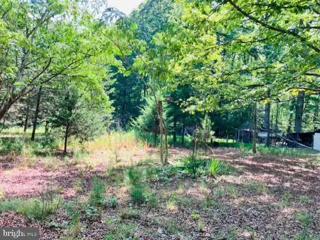 3599 Skipwith Rd, Boydton, VA 23917 - #3