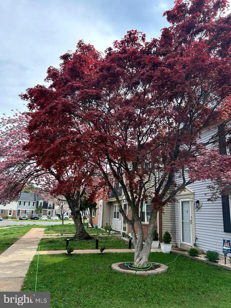 8596 Adamson St, Manassas, VA 20110 - #2