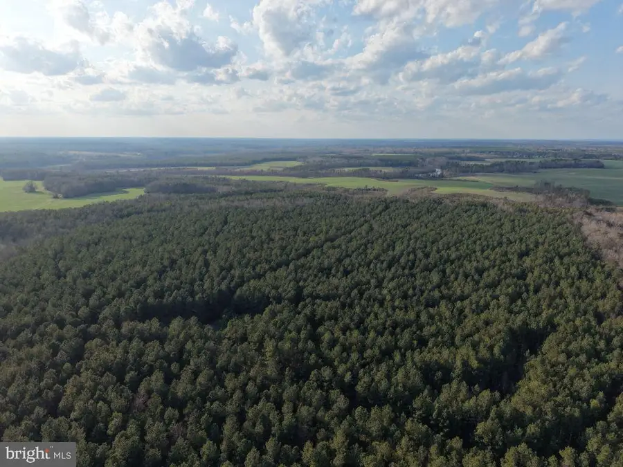 Glebe Landing Rd, Jamaica, VA 23079 - #3