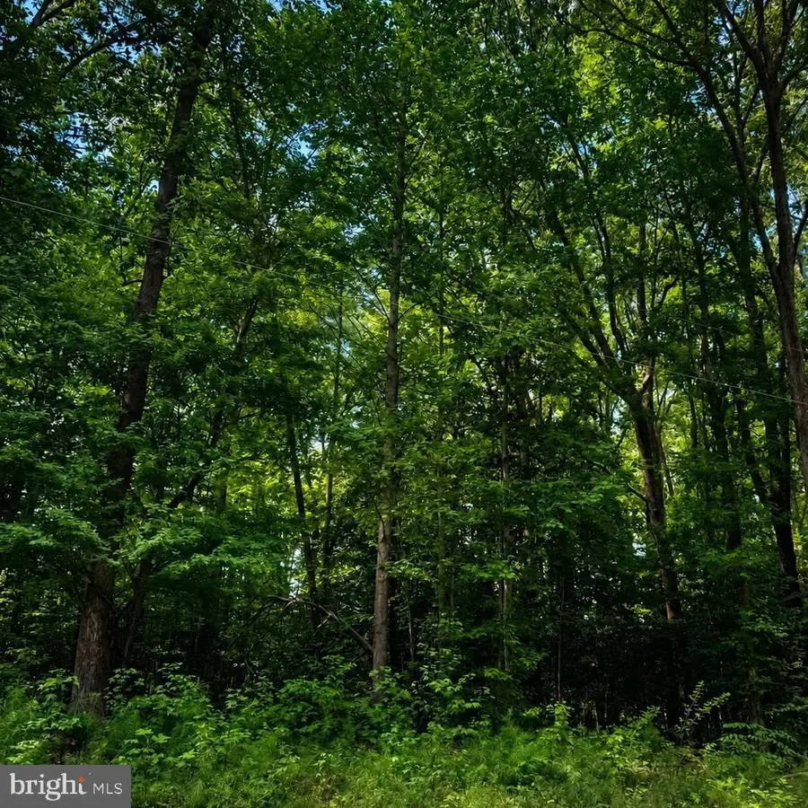 18c Cod Creek Drive, Heathsville, VA 22473 - #3