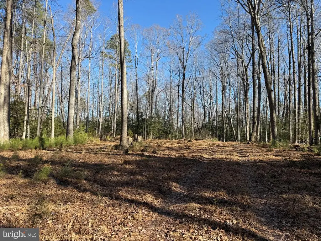 Lot 114 Bogey Neck Rd, Heathsville, VA 22473 - Image #1