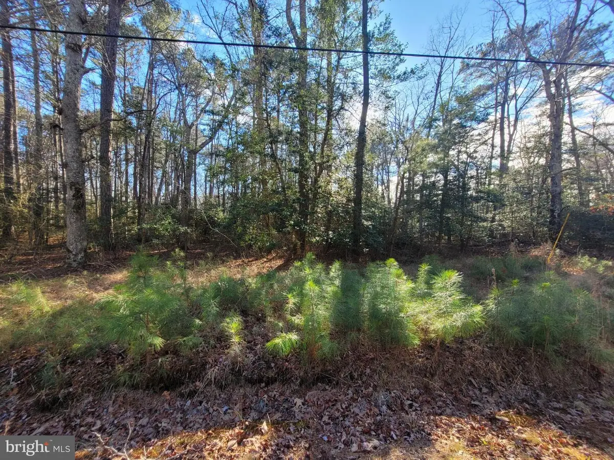 00-lot 82 Elmington Place, Heathsville, VA 22473 - Image #1