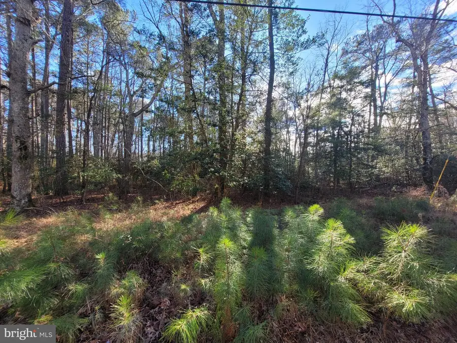 00-lot 82 Elmington Place, Heathsville, VA 22473 - Image #3