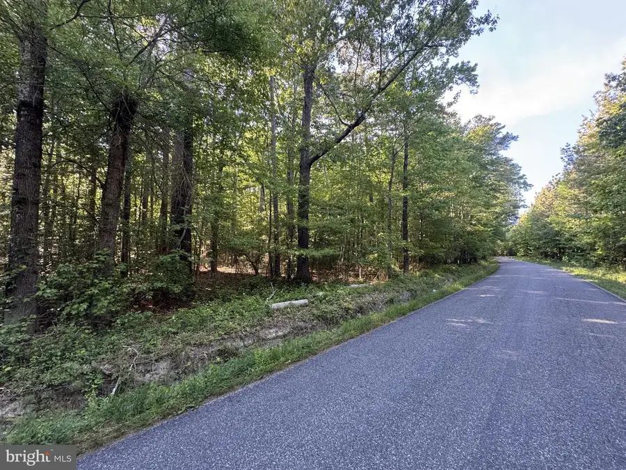 Apple Grove Rd, Kilmarnock, VA 22482 - #2