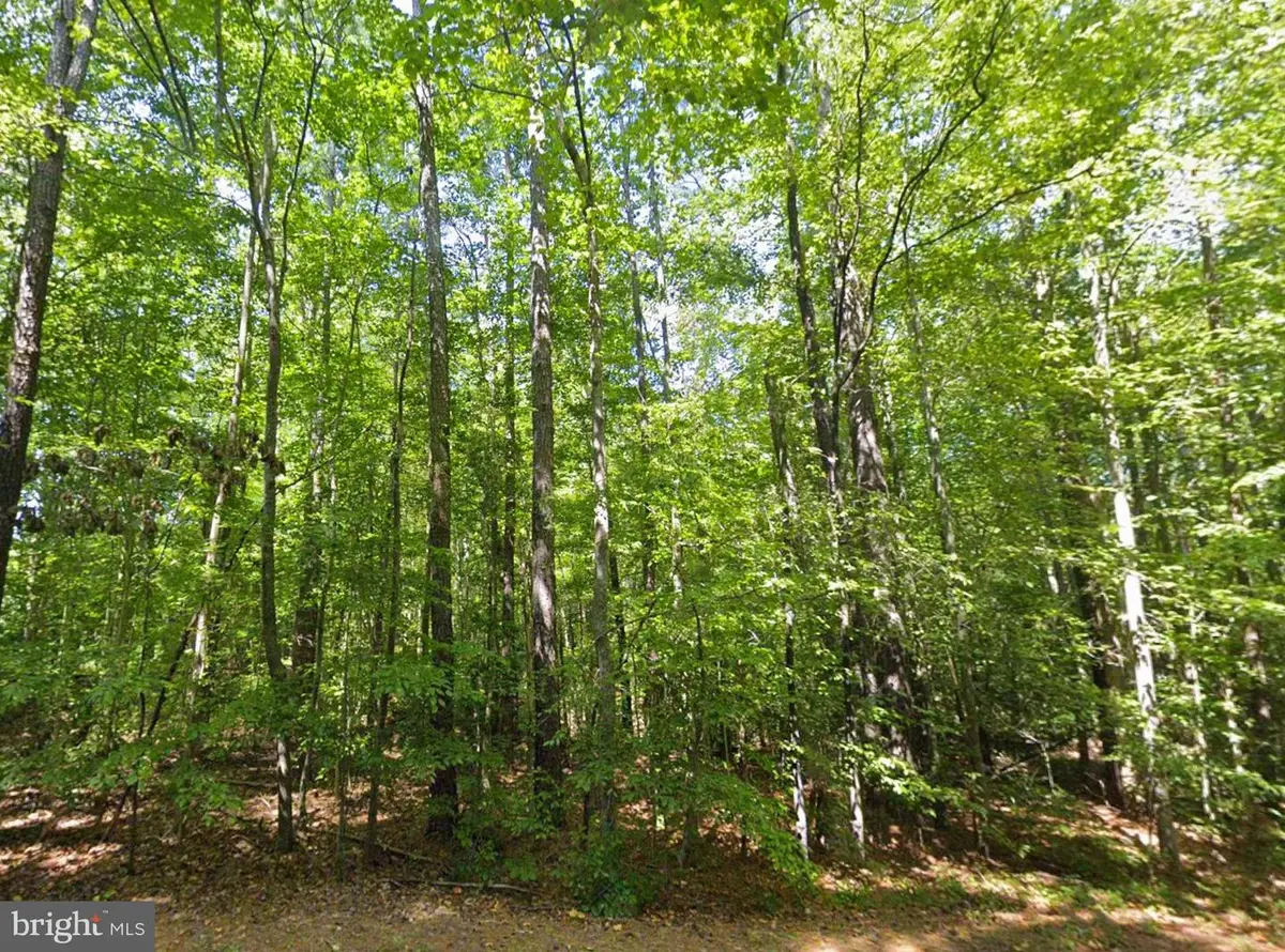 8944 Jessie Dupont Memorial Hwy, Kilmarnock, VA 22482 - #1