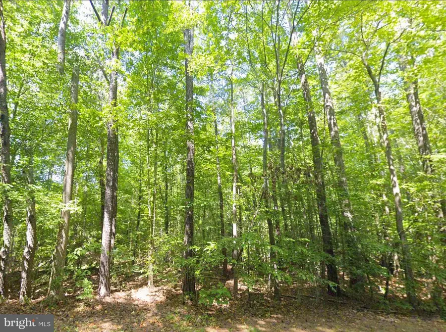 8944 Jessie Dupont Memorial Hwy, Kilmarnock, VA 22482 - #2