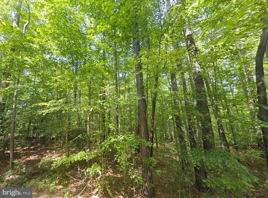 8944 Jessie Dupont Memorial Hwy, Kilmarnock, VA 22482 - #3