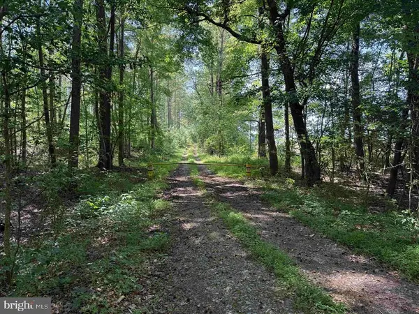 Dodlyt Road (tract: Bk2932), HEATHSVILLE, VA 22473