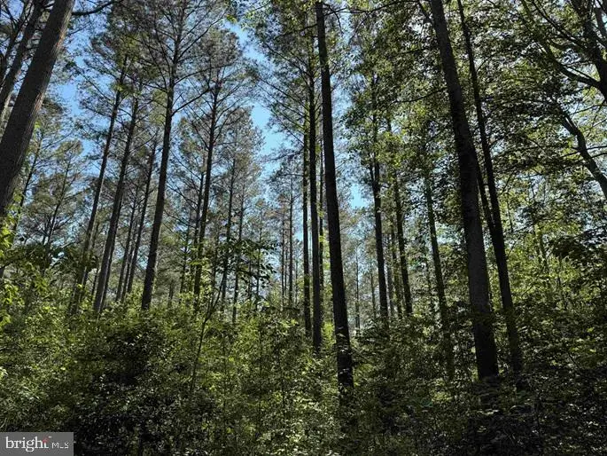 Dodlyt Road (tract: Bk2932), Heathsville, VA 22473 - #3