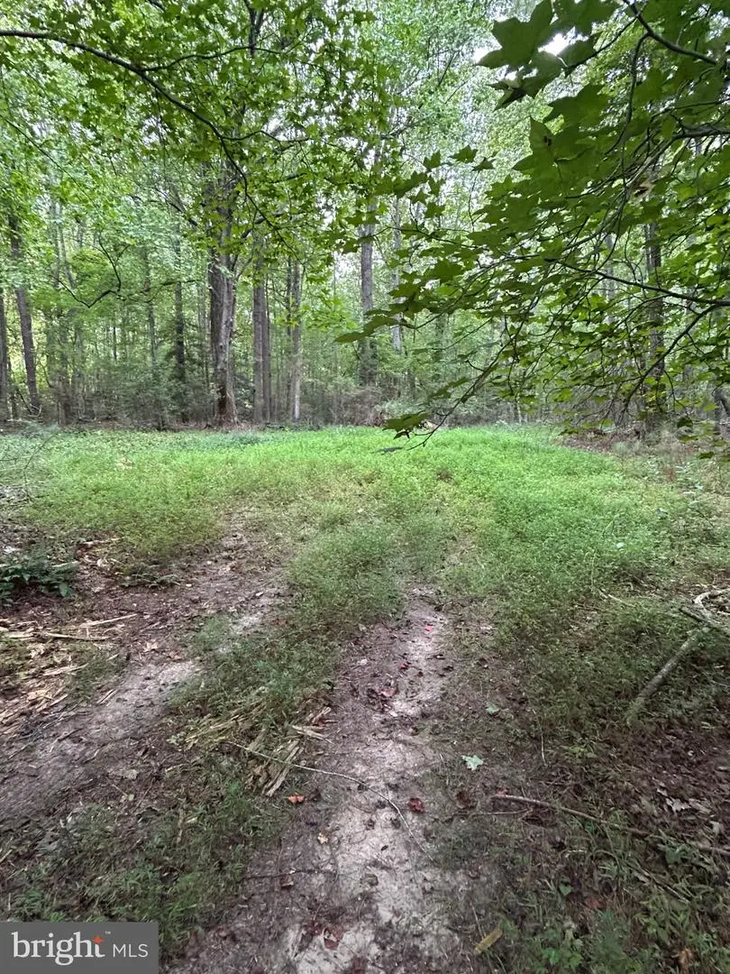 Mila Rd, Heathsville, VA 22473 - #2