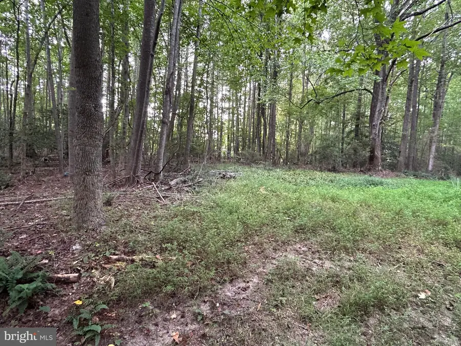 Mila Rd, Heathsville, VA 22473 - #3