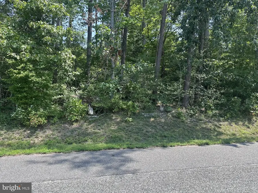 Lot 20 Island Point Rd, Heathsville, VA 22473 - #2