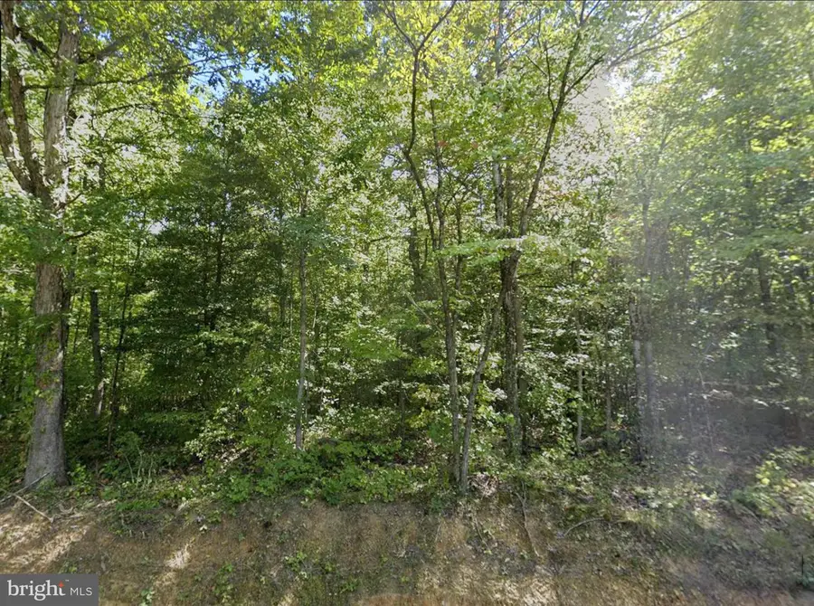 00 Fieldstone Ln, Rhoadesville, VA 22542 - #2