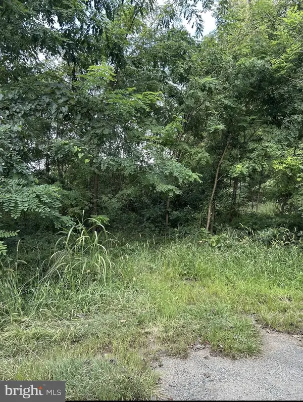 129 Bowler Ln, ORANGE, VA 22960