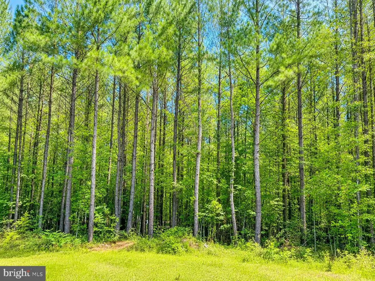 Governor Almond Rd, Locust Grove, VA 22508 - #1