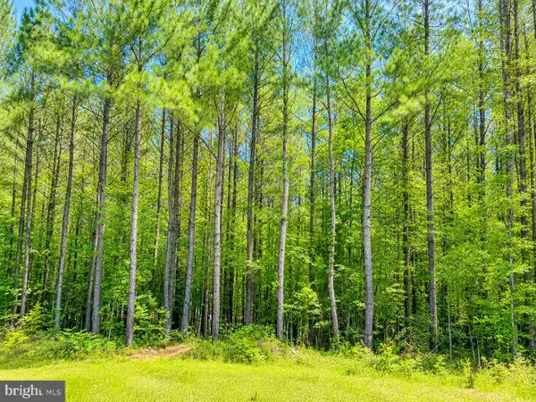 Governor Almond Rd, LOCUST GROVE, VA 22508