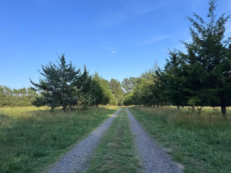 31934 Indiantown Rd, Locust Grove, VA 22508 - #2