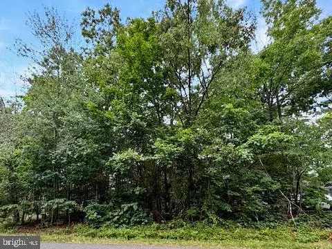 604 Yorktown Blvd, Locust Grove, VA 22508 - #1