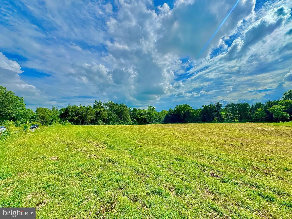 Lot 9 Zachary Taylor Hwy, Unionville, VA 22567 - #1