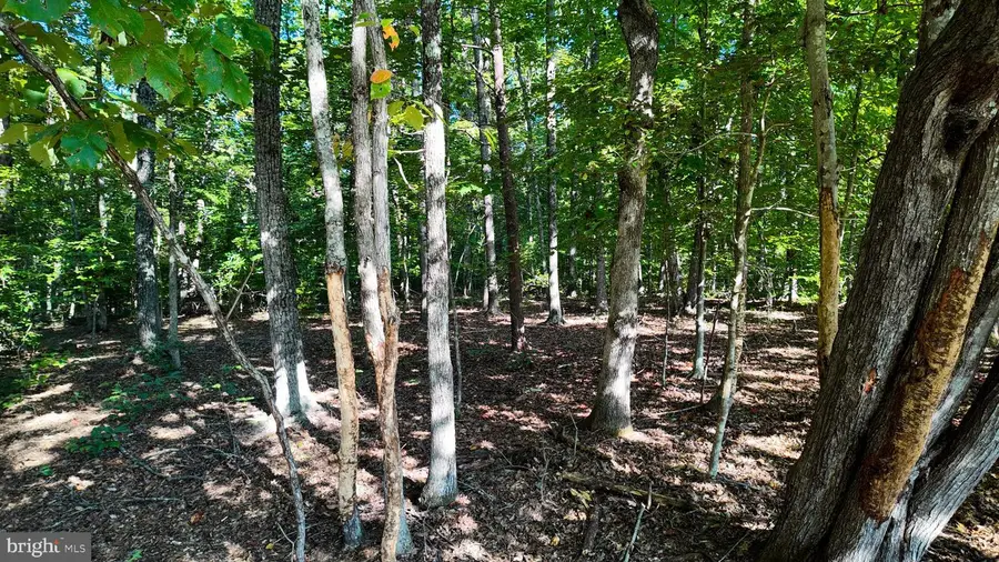 0 Woodville Rd, Locust Grove, VA 22508 - #2
