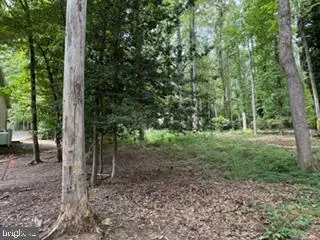 Lot 162c Indian Hills Rd, Locust Grove, VA 22508 - #1