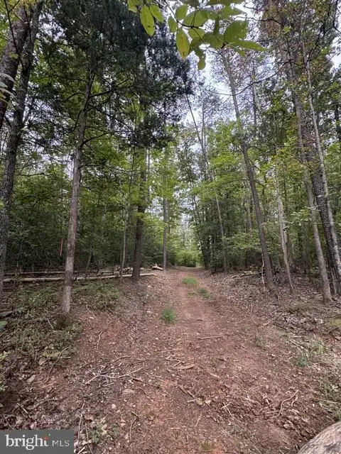 Old Office Rd, Locust Grove, VA 22508 - #1