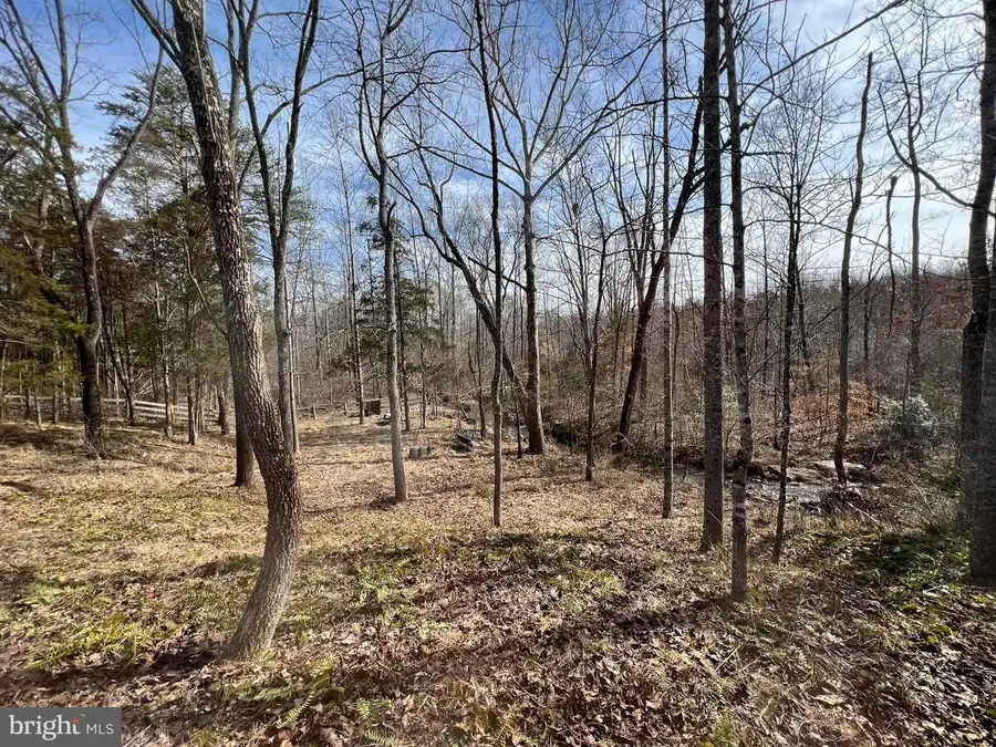 Lot 55 & 56 St Just Dr, Unionville, VA 22567 - #3