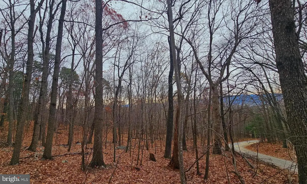 Tbd Forest Drive Ext, Luray, VA 22835 - Image #1