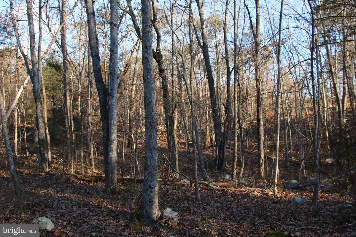 Lookout Dr, Shenandoah, VA 22849 - #1